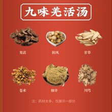 荣清堂经典方 九味羌活汤 发汗祛湿 现抓现配中药 兼清里热 1剂 自煎