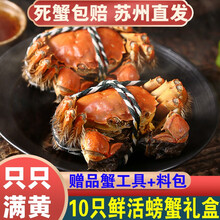 【活蟹】10只阳澄东湖大闸蟹鲜活螃蟹现货海鲜水产礼盒装 对蟹：公4.0两+母3.0两（5对）