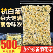 正宗桐乡杭白菊胎菊王胎菊白菊花批发泡水枸杞菊花花茶 桐乡杭白菊500克【1斤散装】
