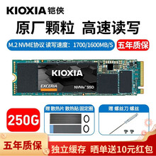 铠侠 ssd固态硬盘m.2（原东芝）台式机硬盘 笔记本硬盘 NVME协议 RC10 250G