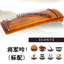 古筝琴考级演奏便携小古筝儿童初学练习21弦90cm迷你古筝小筝 将军吟1【标配】