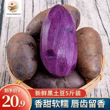 黑金刚紫土豆 黑土豆洋芋芋头 新鲜蔬菜马铃薯 紫色黑土豆 金刚黑土豆5斤装