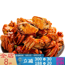 【活鲜】大闸蟹鲜活现货活体螃蟹六月黄海鲜水产全公母3两清水蟹河蟹毛蟹 塔布莫特 六月黄螃蟹 不分公母公蟹为主 建议炒