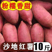 【现挖现发】沙地红薯蜜薯9斤黄心新鲜板栗5香蕃薯蔬菜当季整箱 9-10斤 红薯
