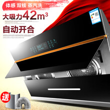 日本樱花抽油烟机侧吸式家用厨房全厨吸油机双电机自动清洗壁挂油烟机 直板42m3吸力带开合带清洗包安装