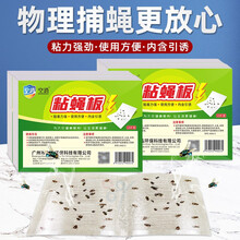 空消粘蝇纸 强力苍蝇贴 粘蝇纸粘苍蝇蚊虫灭苍蝇药胶灭蝇纸板捕蝇器粘蝇板 10张(白板)