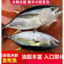 悦芳华旗舰 金枪鱼新鲜金枪生鲜鱼整条16-100斤南方蓝旗大目刺身去鳃去脏海鲜冷冻黄旗吞拿鱼健康轻食 金枪鱼整条25-30斤