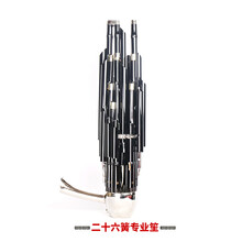 新艺 24簧26簧精致加键扩音笙乐器大全圆竽乐器修笙工具笙包 26加键簧笙-D调