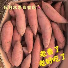 红薯糖心蜜薯西瓜红烤地瓜板栗番薯 新鲜蔬菜 5斤-10斤【爆卖推荐】 带箱10斤
