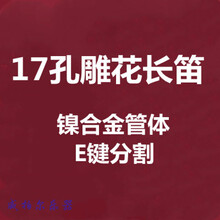 长笛乐器初学17孔开孔法式按键雕花B尾镀银C调专业考级演奏 天蓝色