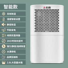 志高（CHIGO）除湿机小型家用大功率房间干燥空气吸湿气器除潮仓库去潮抽湿 升级款A20