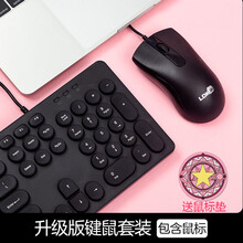 雷迪凯  机械手感键盘可爱女生 键盘鼠标有线套装 台式笔记本电脑办公键鼠套装 USB复古朋克键盘 1900套装-时尚黑