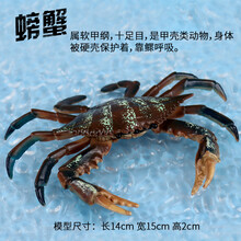 儿童玩具仿真海洋动物海底生物模型大白鲨鲨鱼海豚抹香鲸蛋糕饰品艺可恩 17厘米螃蟹