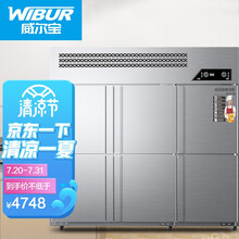 威尔宝WIBUR 商用六门冰柜冷藏冷冻保鲜立式冷柜 食堂酒店厨房冰箱商用 六开门冷冻W-G-BGD6 全铜管升级款