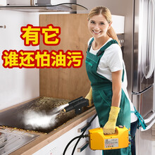 健丝美高温高压蒸汽清洁机洗车机商用家用空调厨房油烟机清洗机消毒工具RM 3000W-家用高级可控款-过火碱-带照明射