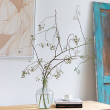 国产蔷薇果鲜花山归来鲜切花家用办公室装饰水养插花绿色夏季鲜花 绿色蔷薇果2-3支