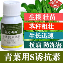 高邦 叶菜专用诱抗素脱落酸香菜芹菜菠菜生根壮苗快速生长叶厚茎粗增产 50.0ml