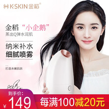 金稻蒸脸器热喷雾补水仪家用面部热喷仪喷脸加湿器深层保湿打开毛孔KD2331 银白色