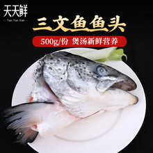 【核酸已检测】皇丞名肴 三文鱼边角料 冷冻生鲜水产辅料烧烤猫狗粮 适合鱼头汤 剁椒鱼头【三文鱼鱼头-500g/1个】