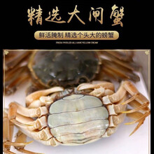 醉蟹毛蟹大闸蟹发财蟹白玉蟹炝醉蟹鲜活腌制开罐即食2-8只/斤 2斤实惠装 大号醉蟹【3-5只】纯母