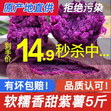【2021新货】农家紫薯新鲜地瓜番薯小香薯香芋香甜软糯毛重 5斤大薯家庭装