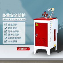 电锅炉服装熨烫蒸煮全自动商用家用小型电加热蒸汽发生器标努 3/6 KW/380V