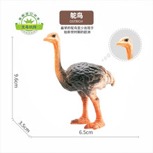 wenno仿真动物模型儿童玩具摆件男女孩生日礼物恐龙长颈鹿小狮子小老虎小象玩具 鸵鸟