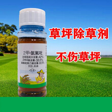 草坪除草神剂二甲四氯氯氟吡氧乙酸阔叶杂草水花生草坪专用除草剂 50ml