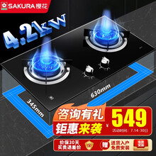 樱花(SAKURA)燃气灶天然气灶煤气灶双灶液化气灶台式嵌入式两用灶具高效节能熄火保护猛火灶煤气灶台 BGC1T【天然气】4.2KW