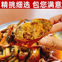 【活鲜】大闸蟹足称现货5.0-4.5两30只大闸蟹全公母螃蟹鲜活六月黄特大活体 塞红康尔 【2.0-1.5两】 8只