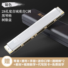 国光口风琴24孔复音 重音C调初学者中老年人成人儿童学生专业演奏级入门口风琴乐器 星空银|宽音域-重音28孔+自学礼包+视频教程