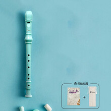 天鹅竖笛德式8孔6孔儿童小学生入门初学练习高音八孔六孔笛子乐器 6孔竖笛蓝色+教材书+布袋