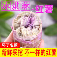 老农夫 冰淇淋红薯新鲜红蜜薯批发甜糖心地瓜小红薯红心沙地一点红番薯 5斤大果