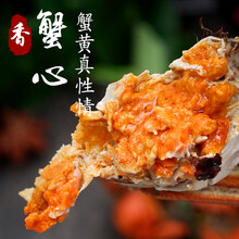 特大正宗大闸蟹新鲜活螃蟹现货公母蟹随机螃蟹 大闸蟹8+8（2.0-1.5两）