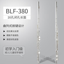 法国布兰琪Blanche 长笛16孔17孔开闭两用E键C调镀银西洋乐器 学生初学考级专业演奏 16孔闭孔镀银长笛