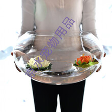 小鱼缸带造景金鱼缸鼓缸迷你玻璃鱼缸圆形乌龟缸 20CM圆盆(裸缸)