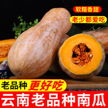 老南瓜云南热带南瓜新鲜批发黄南瓜板栗味 7斤