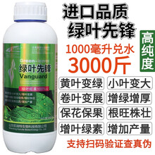 微量元素叶面肥铜铁锰锌钼硼黄叶变绿保花保果水溶肥料    绿叶先锋 绿叶先锋1000毫升*2瓶
