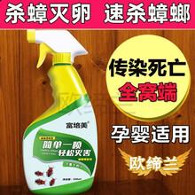 欧缔兰  蟑螂药一窝端全窝绝杀蟑螂杀虫剂喷雾家用宿舍低毒大小通杀德国小蠊餐厅饭店专用婴儿童孕 1瓶