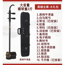 苏州二胡乐器黑檀木大音量初学专业考级成人学生通用 黑檀全素(88系列)+全套配件