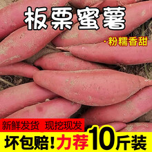 新鲜板栗红薯10斤沙地红蜜薯糖心板栗薯农家甜心地瓜山芋蔬菜番薯 大果 10斤