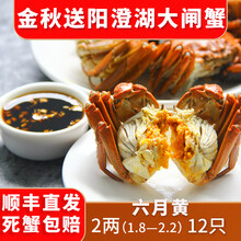 【活蟹】蟹滋煌 阳澄湖六月黄大闸蟹鲜活现货 苏州河蟹湖蟹清水螃蟹 生鲜螃蟹水产礼盒送礼现捕现发 六月黄1.8~2.2两12只