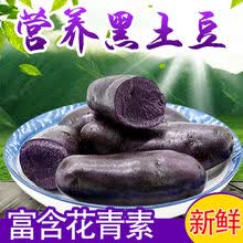 黑土豆新鲜蔬菜黑金刚农家马铃薯黑洋芋黑美人现挖 红土豆小果5斤装(2两以下)