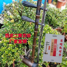 京胡乐器 紫竹担子琴轴京胡 京剧表演初学者民族乐器 京胡+安装+教材书+袋子+送配件