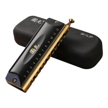 国光12孔48音国之梦半音阶口琴（圆吹口、雅典黑、厚座板、眼镜盒）