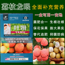 荔枝专用叶面肥果树肥料专用进口叶面肥通用喷雾花保果膨大素