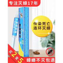 科凌虫控蟑螂药 灭杀蟑螂药一窝端蟑胶饵饵剂灭蟑清除蟑螂粉家用窝端杀虫剂