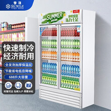 【雪花官方店】饮料柜双开门展示柜冷藏水果鲜花保鲜柜啤酒柜立式便利店冰箱单门直冷双门风冷展示柜 双门风直冷展示柜