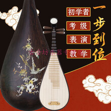 鸡翅木琵琶乐器 考级练习初学琴 教学  儿童学生专业 定制其他样式拍此