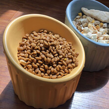 凡可奇 猫碗陶瓷猫食盆斜口高脚猫盆狗盆 猫咪宠物用品护颈防打翻饮水器狗碗水碗 橘色